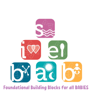 Foundational Building Blocks for all Babies (3)